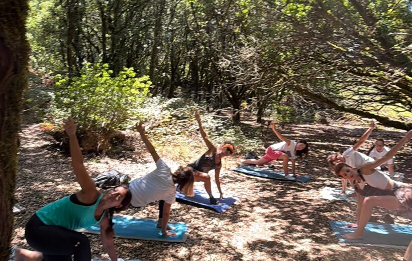 La Finestra sullo Jato: Trek&Yoga tra i sentieri della Procura e delle antiche Masserie